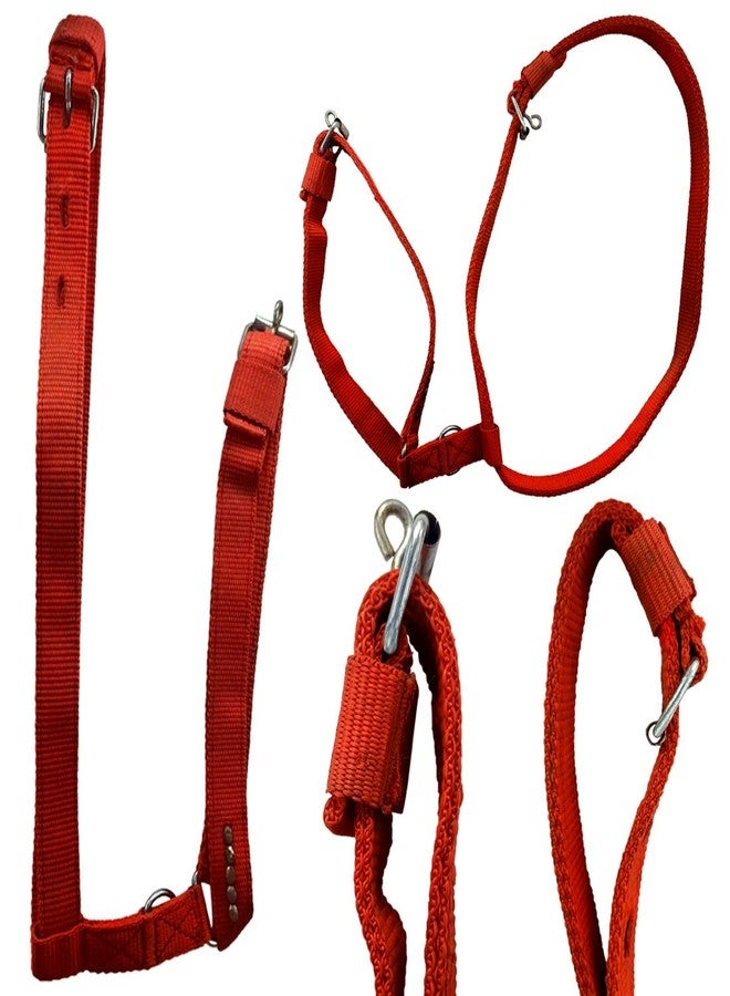 DIY Crafts Pack of 1 Pc, Red, Adjustable Dog Harness Body (Pack of 1 Pc, Red) - Image 1